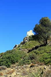 photo 778896