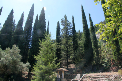 photo 1537471