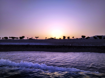 photo 1537566