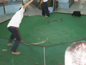 photo 143956