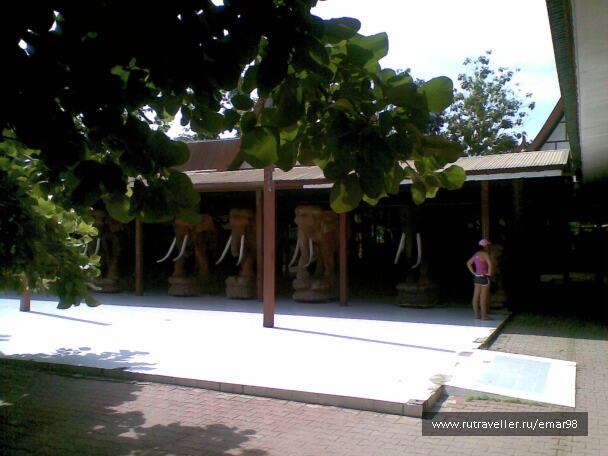 photo 369960