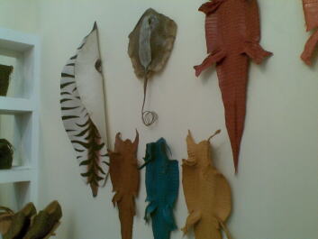 photo 224009