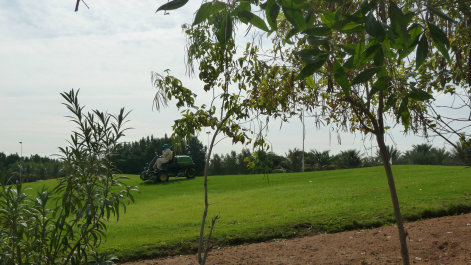 photo 217468