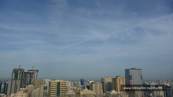 photo 239425