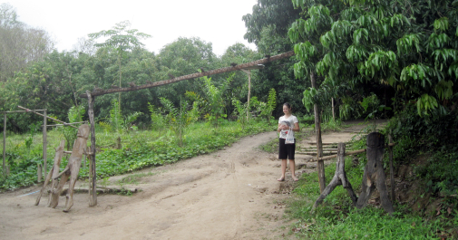 photo 671685