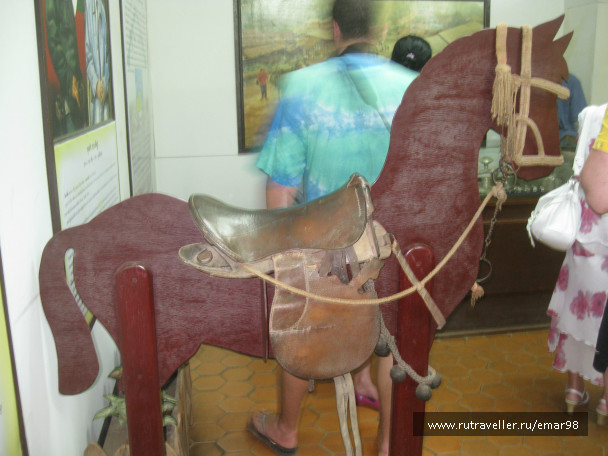 photo 258482