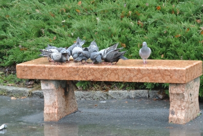 photo 828875