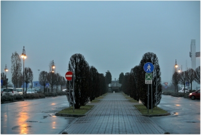 photo 947446