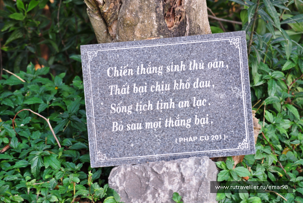 photo 1069975