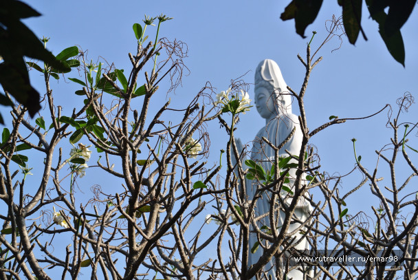photo 1070737