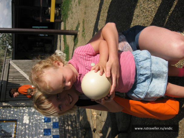 photo 472494