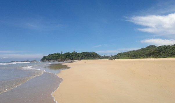 51866eac0076c.jpg