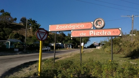 photo 1317972