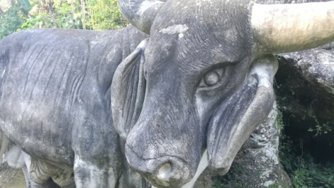 photo 1317974