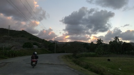 photo 1317980