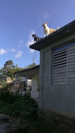 photo 1317981