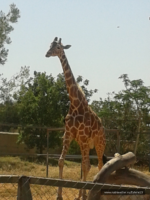 photo 675278