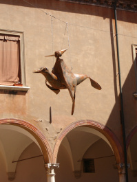 photo 244269