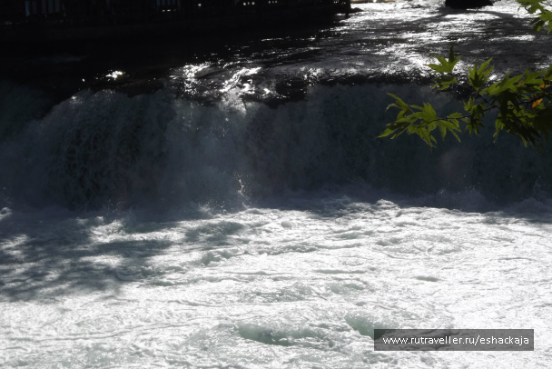 photo 399372