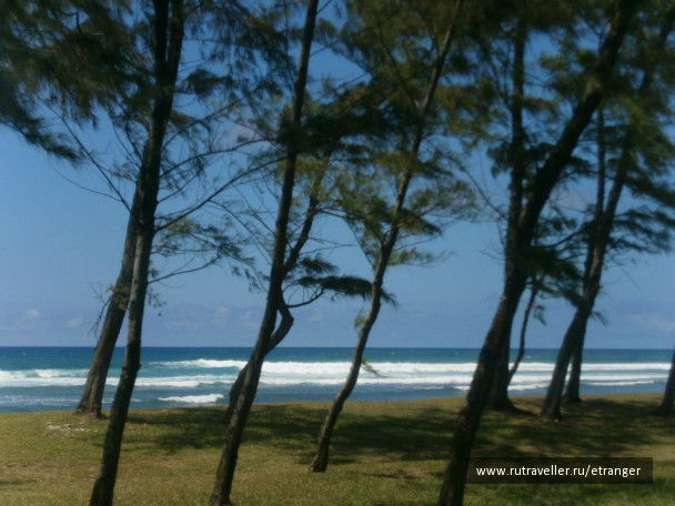 photo 236238