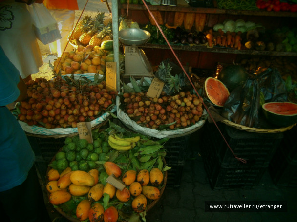photo 236241