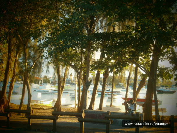 photo 236242