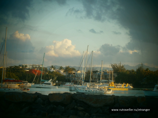 photo 236243