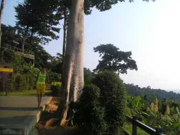 photo 680312