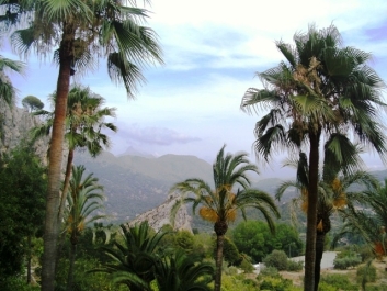 photo 807304