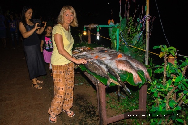photo 1320527