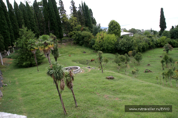 photo 171464