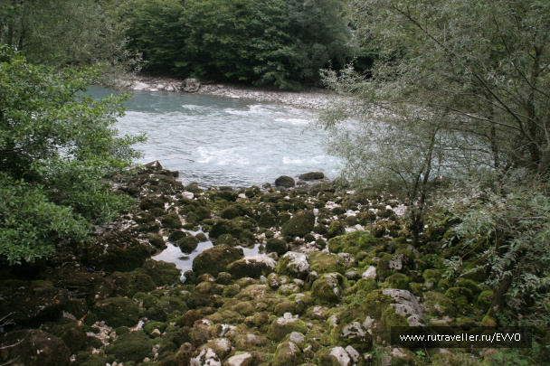 photo 171476