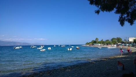 photo 873294