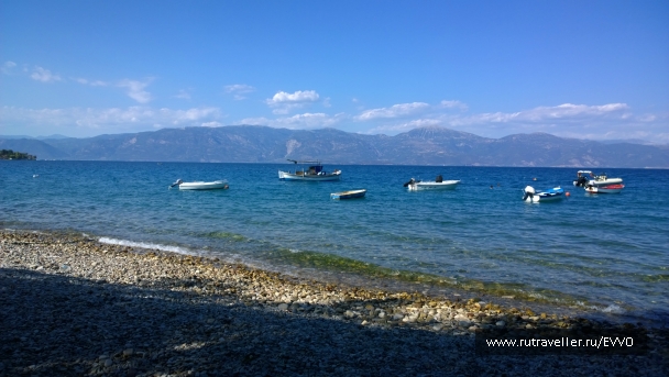 photo 873295
