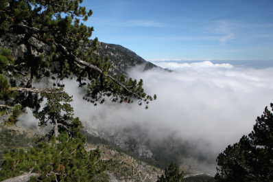 photo 1224878