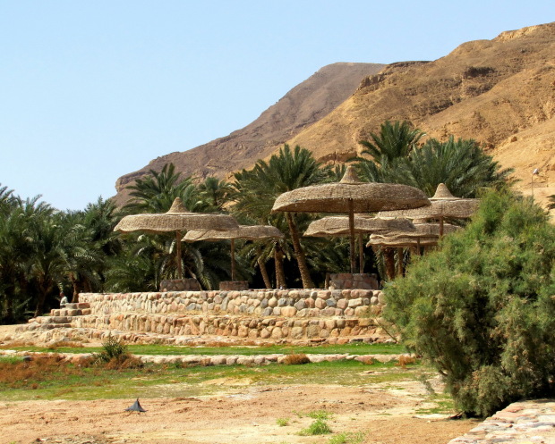 http://www.sharmtours.ru/wp-content/gallery/national-park-ras-muhammed-by-bus/m-_30.jpg