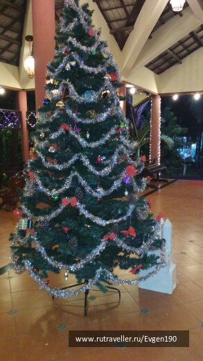 photo 1630296