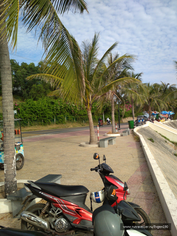 photo 1630309