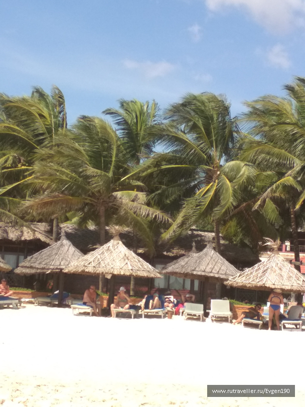 photo 1630351