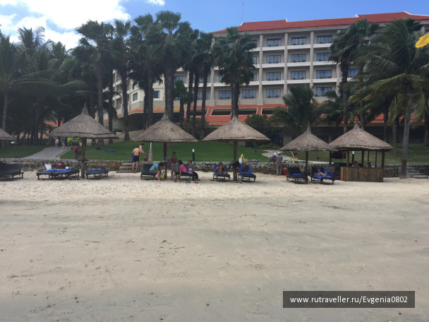 photo 1247713