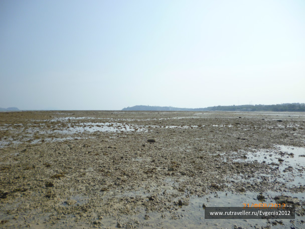 photo 67671