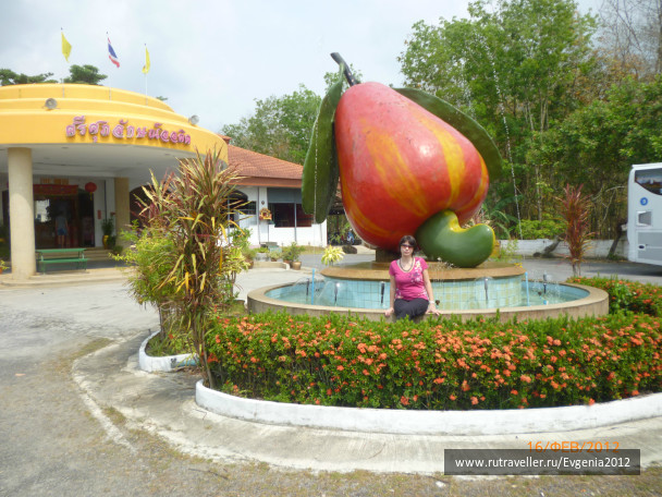 photo 67674