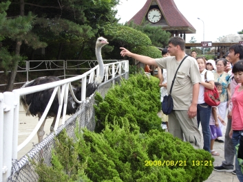 photo 676639