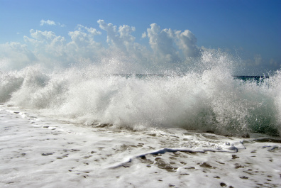 photo 247023