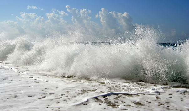 DSC_0212-r