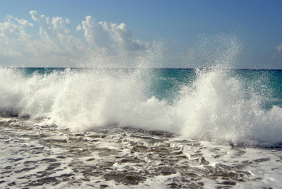 photo 247024
