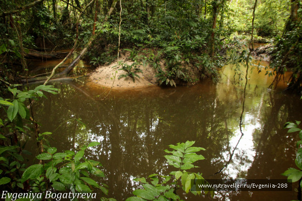 photo 689174