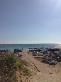 photo 1281356