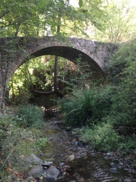 photo 1281358