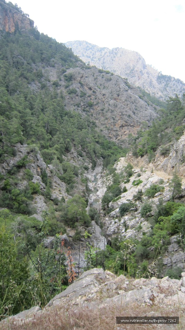 photo 744921